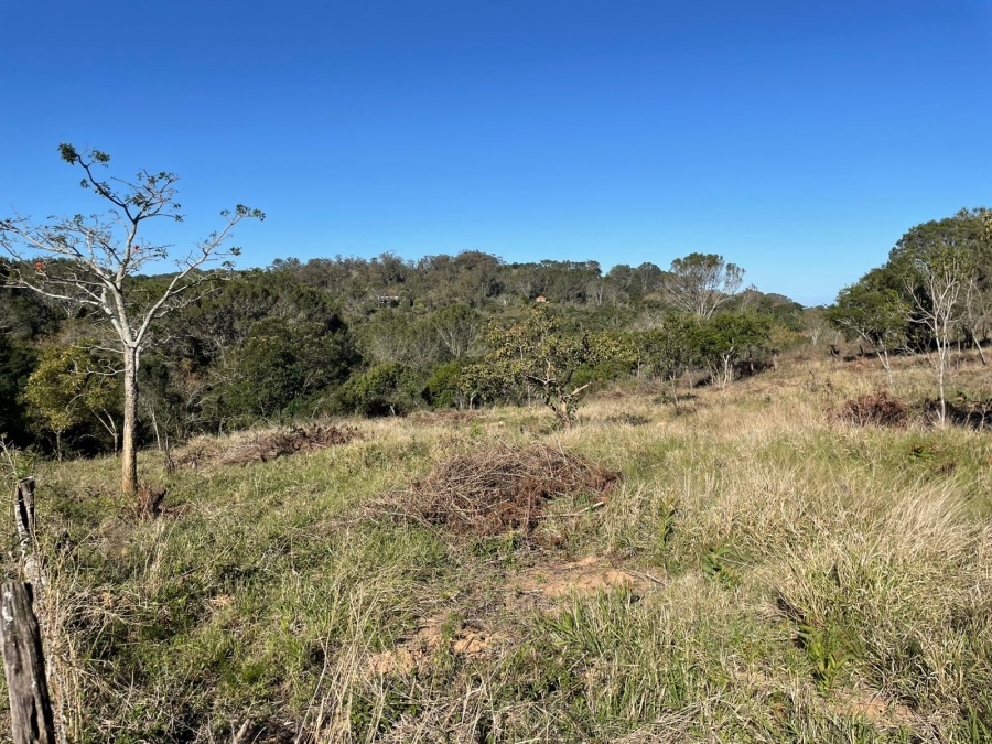 0 Bedroom Property for Sale in Bathurst Eastern Cape